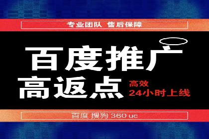 百度广告竞价策略详解：某电商平台的成功案例